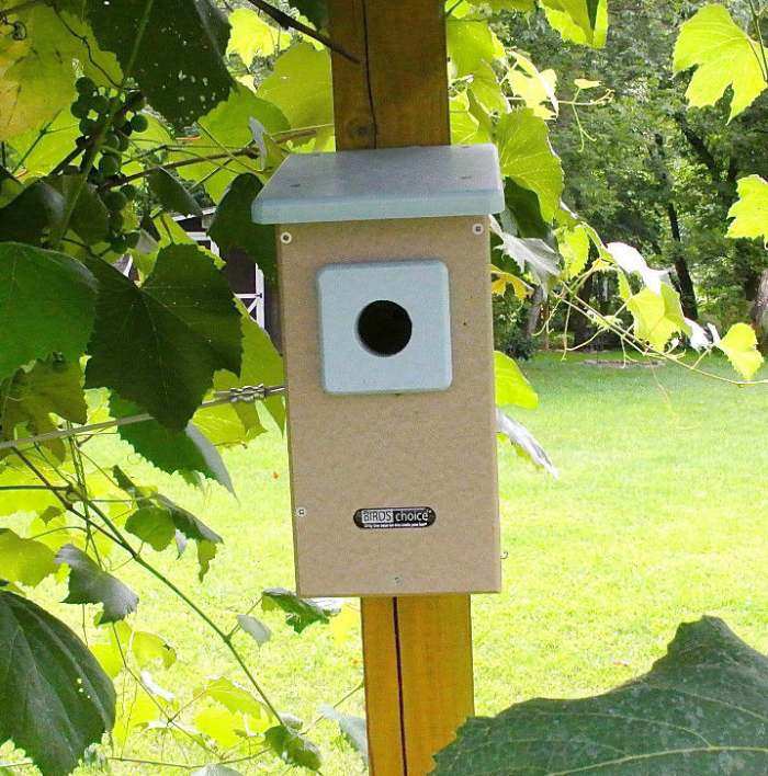 Second Nature Recycled Eastern Bluebird House